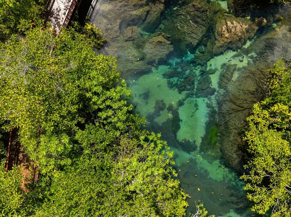 Krabi Sea Kayaking Adventure at Klong Namsai