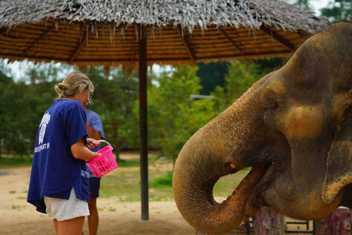 Samui Elephant Spa & Cooking Class